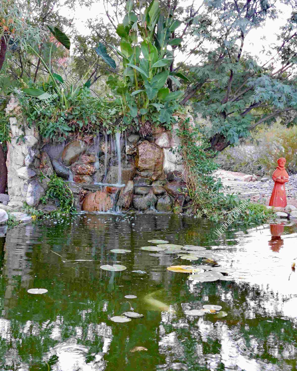 RobieJean1's tweet photo. Koi Pond located in the beautiful Catalina Mountains, Tucson, AZ https://t.co/QRLt4V5FZM #waterfall #landscapeScenery #koi #meditation #water #pond #plants #photography #nature #tranquil #mysticVenturesPhotos https://t.co/UoOSUnCgro