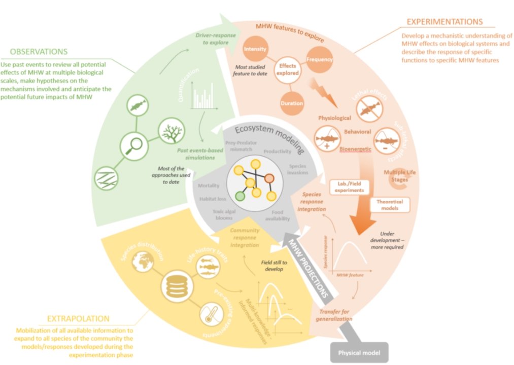 PY Hernvann tweet media