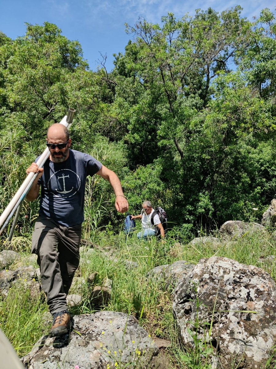 Shaked Stein tweet media