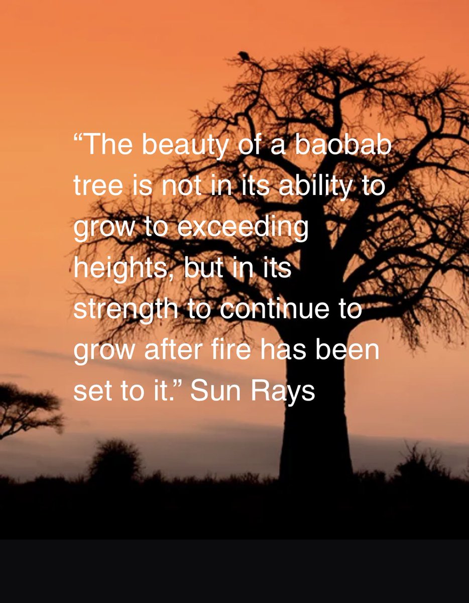 CBJensenAuthor's tweet photo. Life can set fire to our lives sometimes, but if we are determined enough we too can grow through it! ❤️🧡💛
Get your copy of SunRays now on Amazon, Barns and Noble, Apple and soon Audible!
#SunRays #baobab #growth #read #ebook https://t.co/HJJDdtd0C3