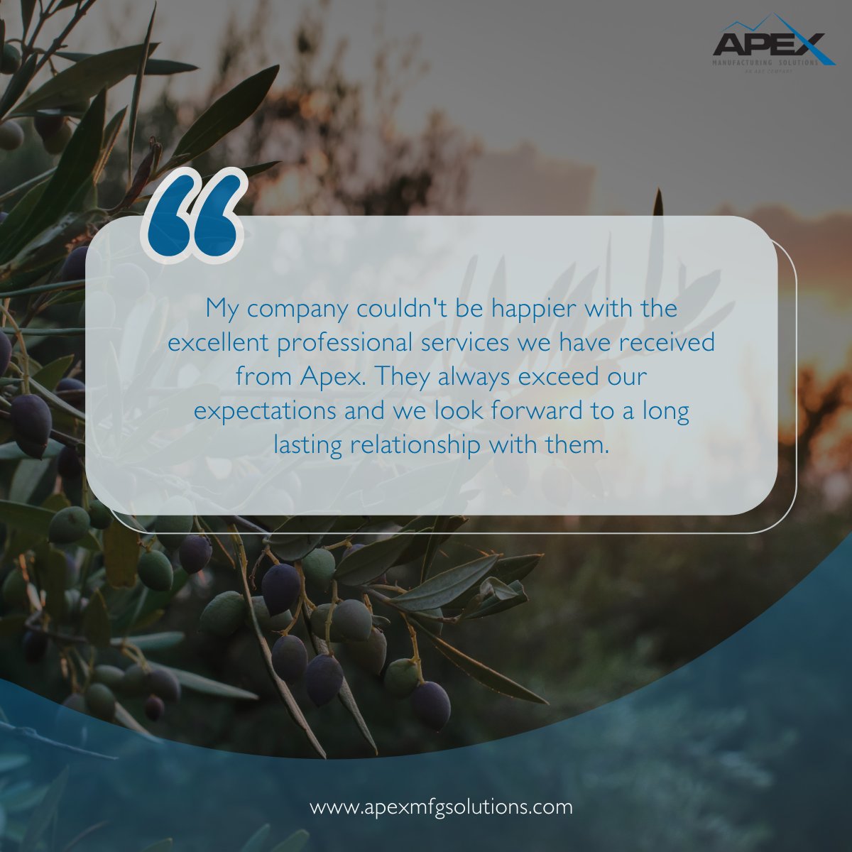 ApexMgSol's tweet photo. Our customers are at the core of everything we do, and their kind words inspire us to continue providing exceptional service. Take a look at what they have to say about their Apex experience! ⬇

#customerexperience #testimonialtuesday #customertestimonials #systemsintegration https://t.co/iFvfgrFoRd