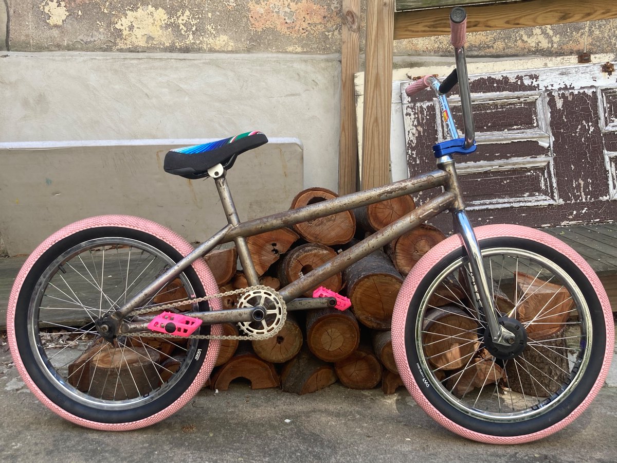 Gen FishCrow tweet media