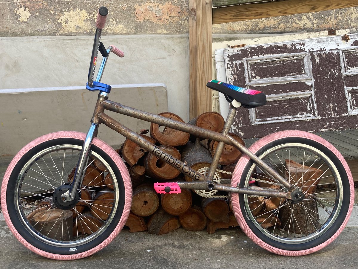 Gen FishCrow tweet media