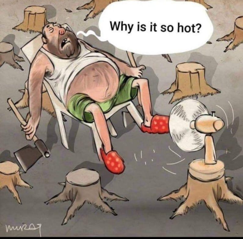 Poori5678's tweet photo. #savetrees #nature #trees #saveearth #savenature #photography #india #environment #savetheplanet #saveenvironment #naturephotography #savewater #gogreen #earth #green #tree #ecofriendly #forest #planttrees #saveanimals #bhfyp #climatechange #naturelovers #savetheearth #onthebuzz https://t.co/WXwPfReQMb