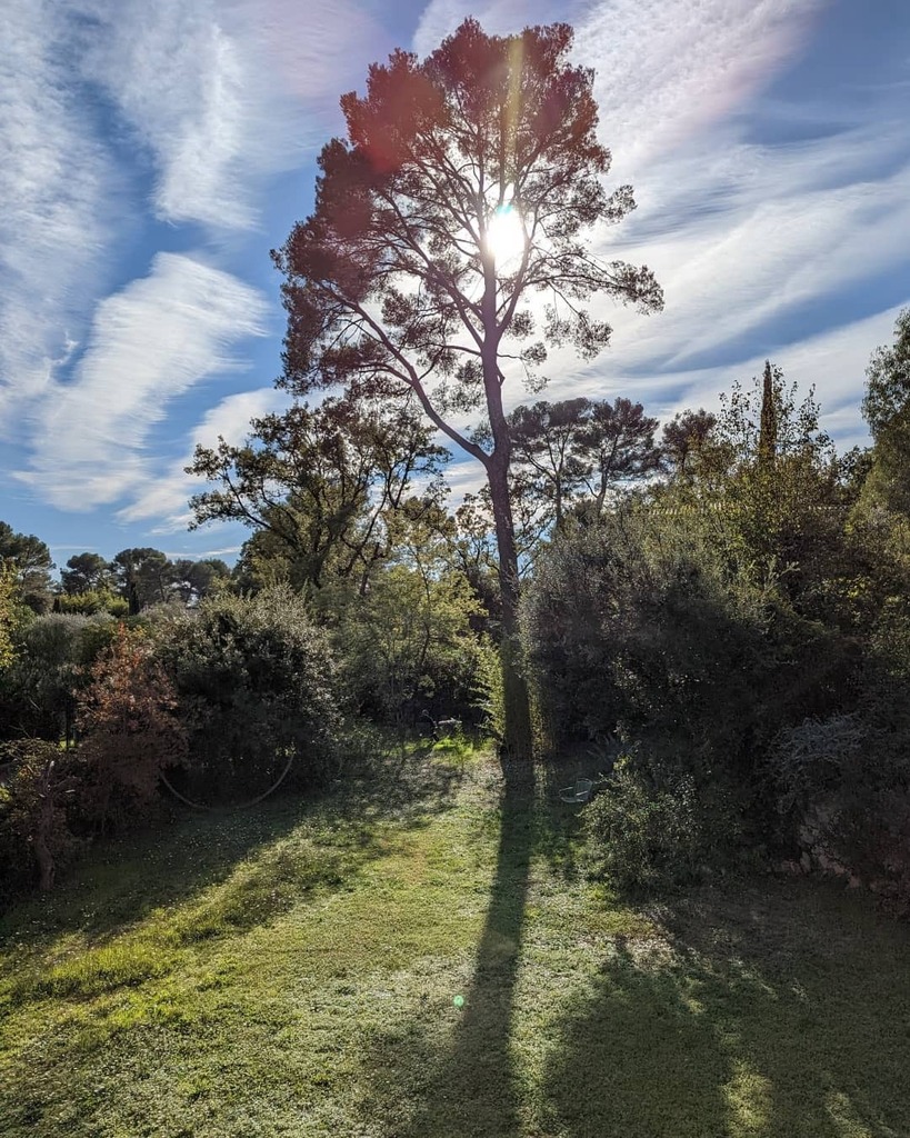 Phoebe Thomas tweet media