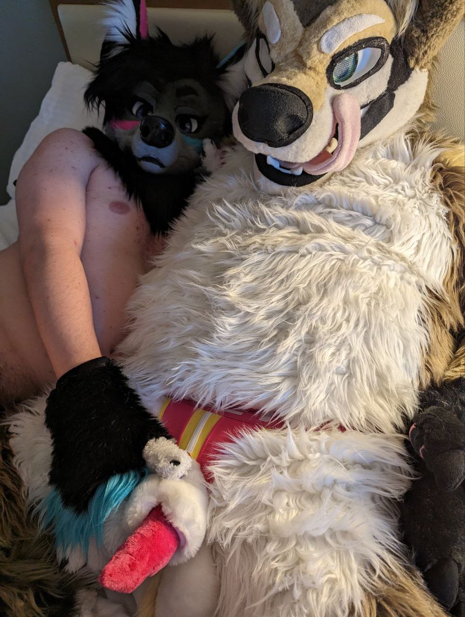 TysonnuggiesAD's tweet photo. And here you see two wolves at play one clearly more dominant than the other. Had a lovely time with Neon over the weekend at LVFC can't wait till we run into each other again.
#nsfwtwtًً #Murrsuit #murrsuiters #adultcontent #yiff #gay #AfterDark https://t.co/sXuR3X5trn