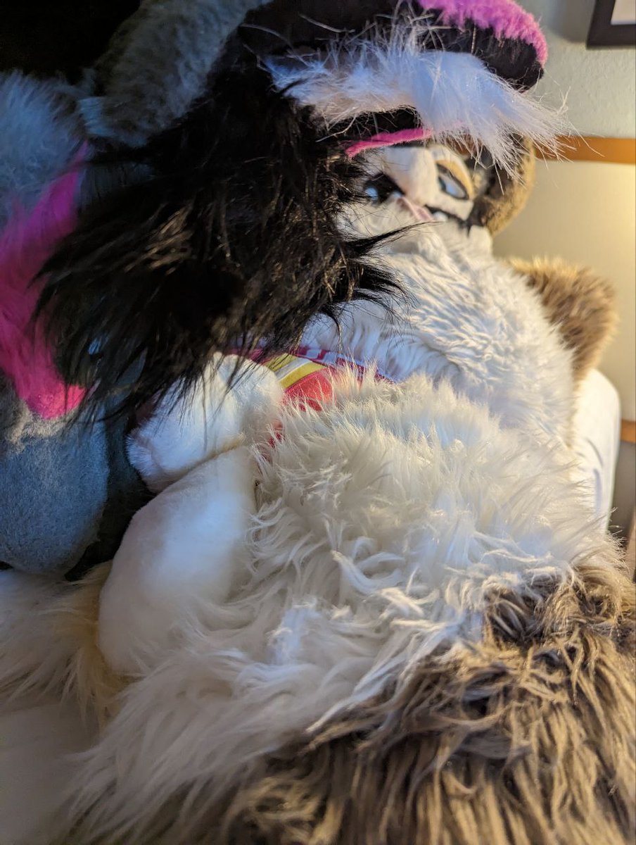 TysonnuggiesAD's tweet photo. And here you see two wolves at play one clearly more dominant than the other. Had a lovely time with Neon over the weekend at LVFC can't wait till we run into each other again.
#nsfwtwtًً #Murrsuit #murrsuiters #adultcontent #yiff #gay #AfterDark https://t.co/sXuR3X5trn