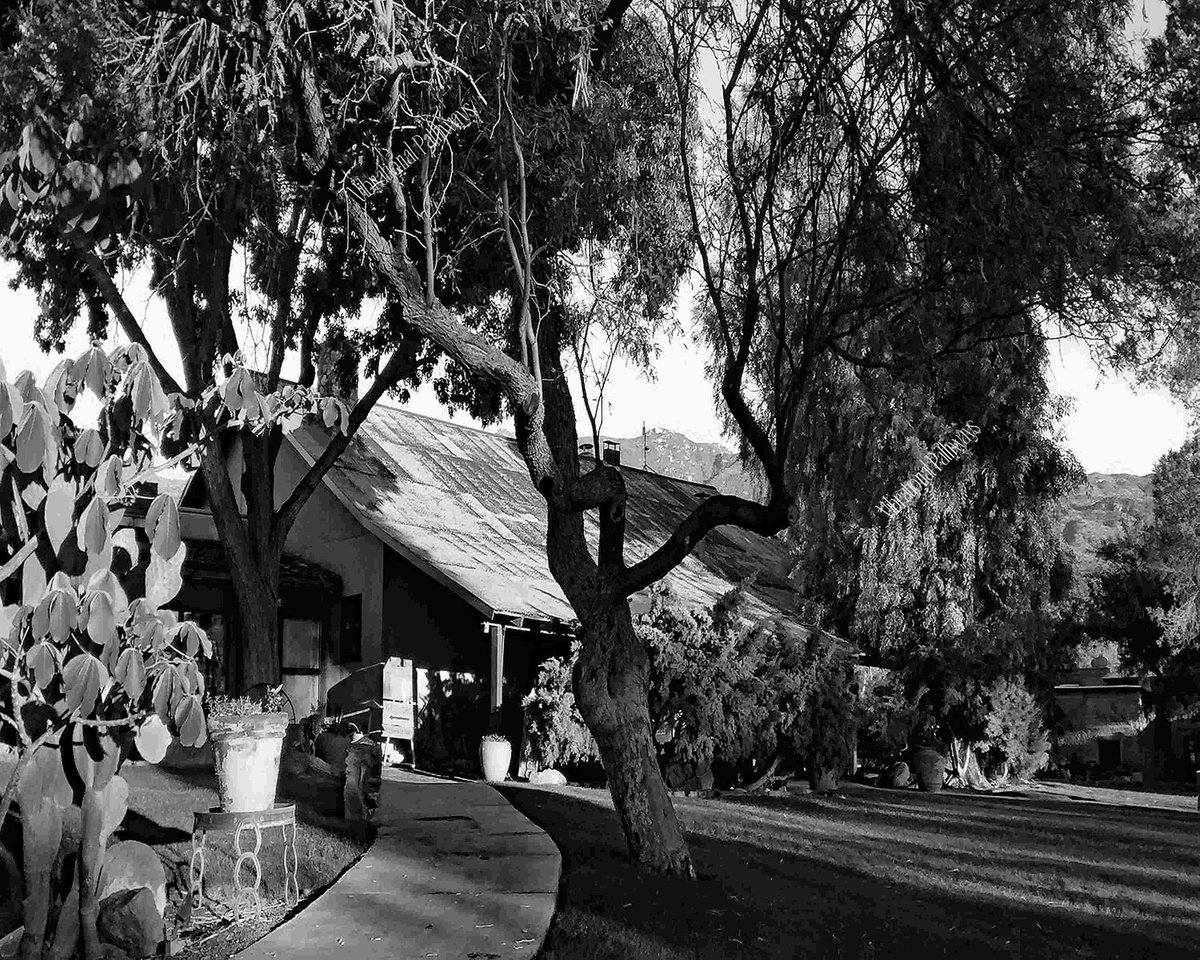 RobieJean1's tweet photo. Tanque Verde Western Guest Ranch - Tucson AZ https://t.co/EvvSYs8VW3 #cabin #landscapeScenery trees #desertLifestyle #dudeRanch #vacation #weddings #horsebackRiding #photography #mysticVenturesPhotos https://t.co/Zv4Vfr6cby