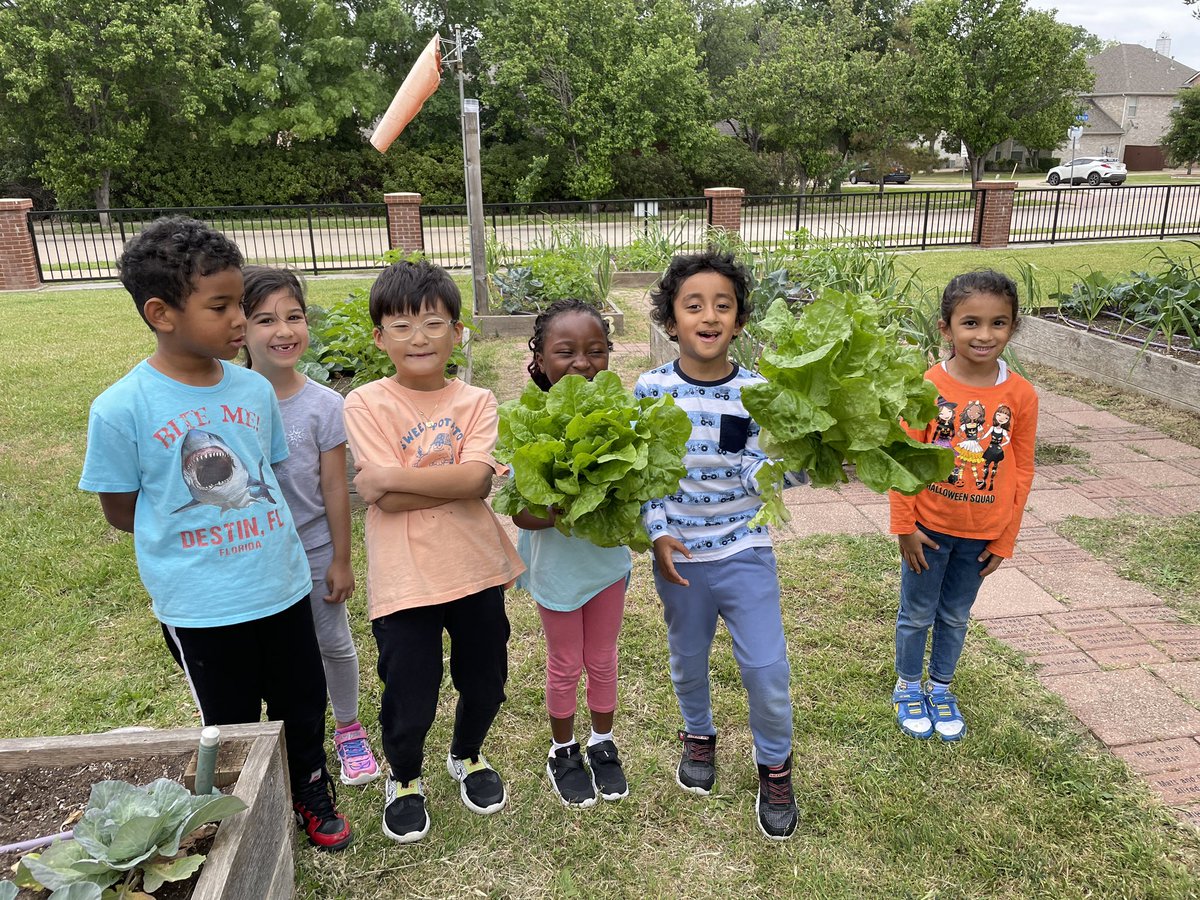 Martha Brown tweet media