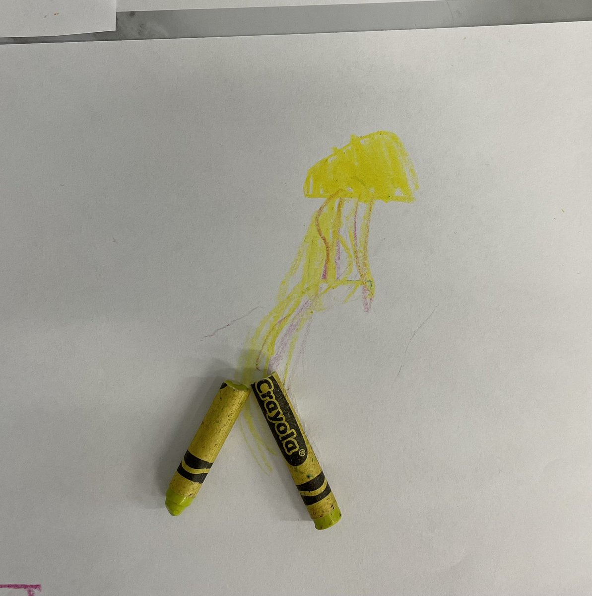 melanie 🐾 tweet media