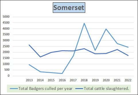 A simple graph that says it all. What a total waste of time, money and wildlife. No relationship or pattern of response what so ever. #TheBigOne #endthecull #stopthecull #wakeupdefra #badgermonday #badger