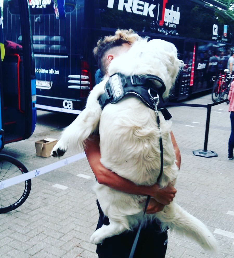 Tom Devriendt tweet media