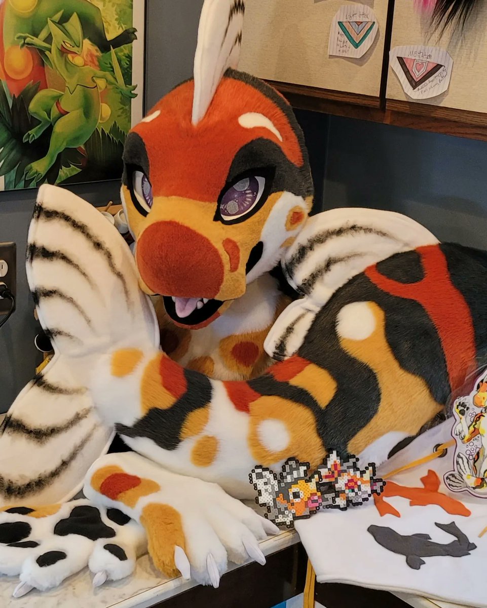 cult_makers's tweet photo. Flash back to one of my favorite builds, this Koi dragon! I still heckin' love them so much ^^ 
#fursuit #fursuitmaker #furry #furryfandom https://t.co/Za4km90DPo