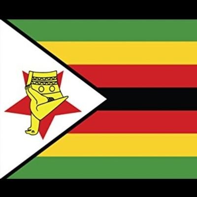 #ZimSomethingIsNotRight 
#ZimAt43 
#NotYetUhuru 
#ZanuPfMustGo 
#ZimbabweanLivesMatter