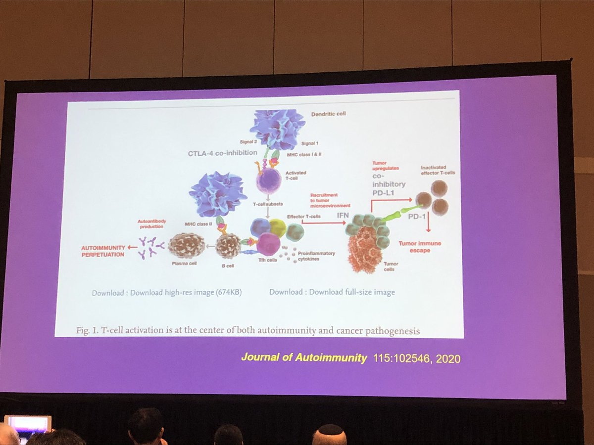 markgenome's tweet photo. “There’s no way I thought I’d ever be at AACR23!” @jacksonlab’s Dave Serreze is an expert in T1D genetics, but immunotherapy-induced autoimmune effects in patients has provided a new challenge. He uses mouse models to help tease out the mechanisms. @JAXcancercenter https://t.co/etbSYYFlfY