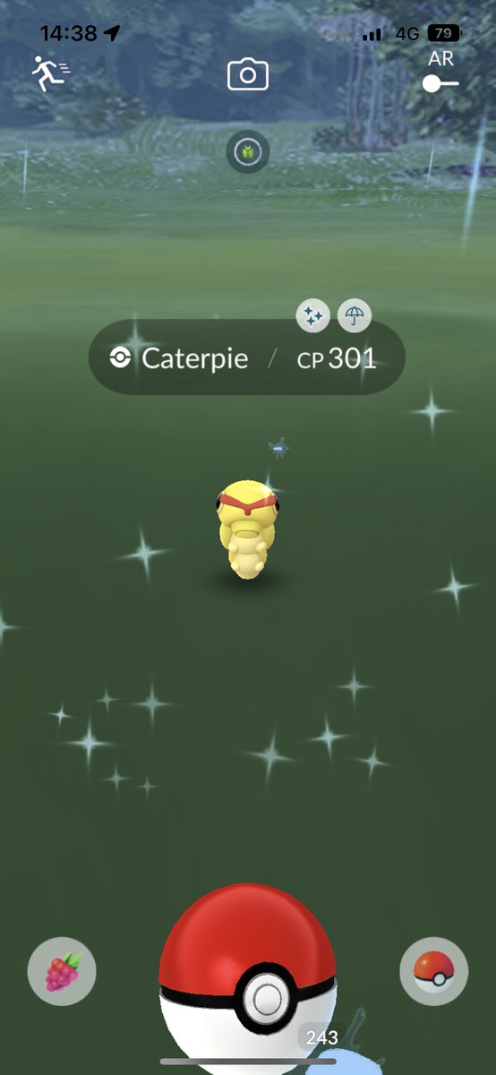 alvarenga65PoGo's tweet photo. Another one for my collection https://t.co/vDYbNLBIdn