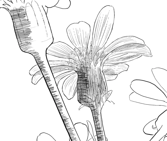 背景の花を描いています。

#イラスト 
#artwork 
#illustration 