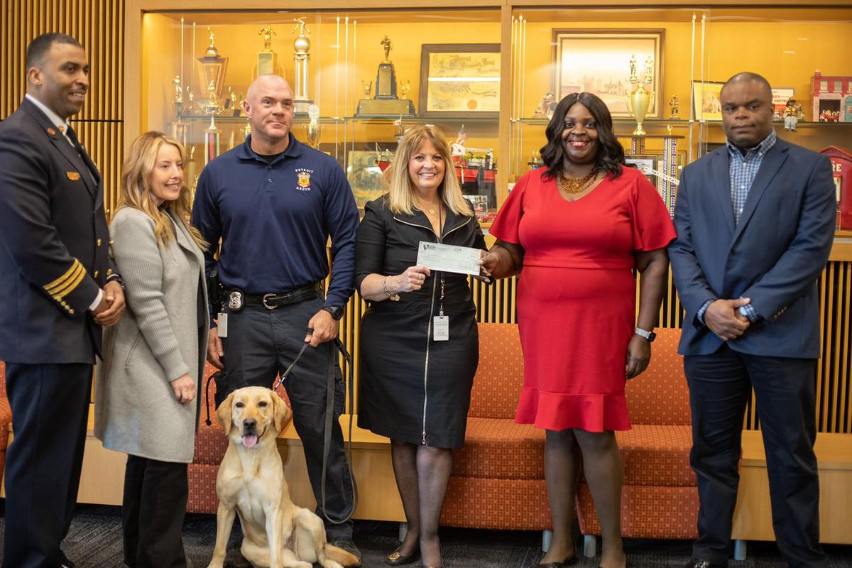 Detroit Dog Rescue tweet media
