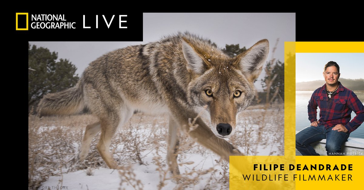 Don't miss our final @NatGeoLive event of the season! Next Tuesday, April 25, wildlife filmmaker & conservationist Filipe DeAndrade will be at the Palladium. Buy tickets at TheCenterPresents.org/Untamed.