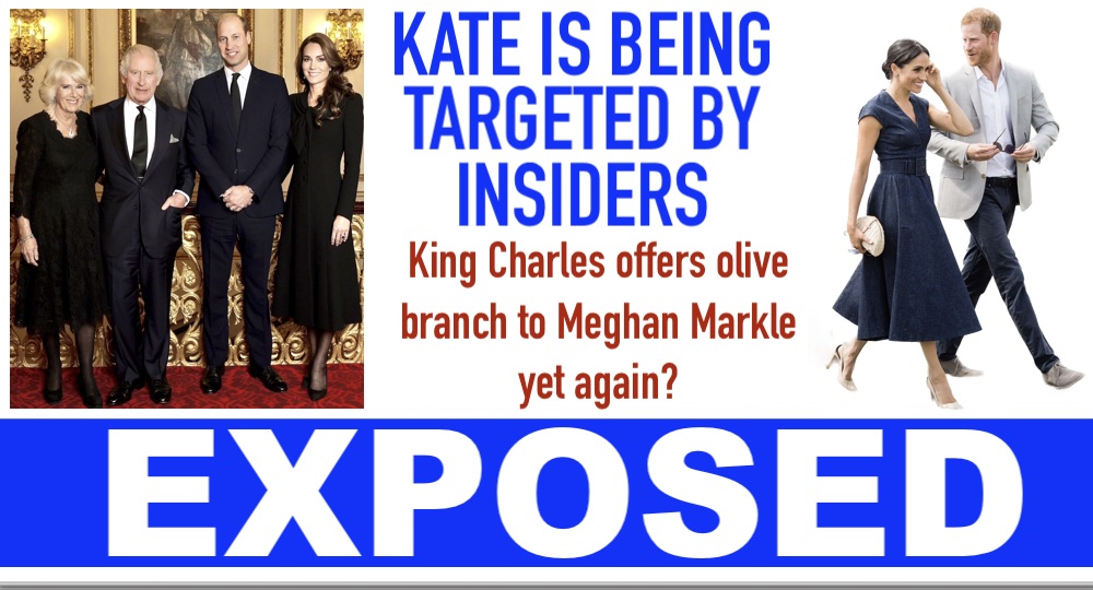 Royal Sussex tweet media