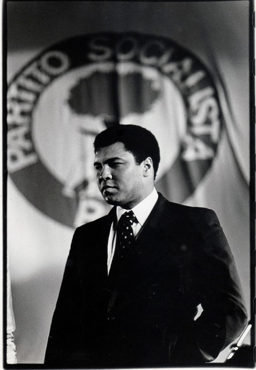 gianfranco carbone (@gfcarbone) on Twitter photo 