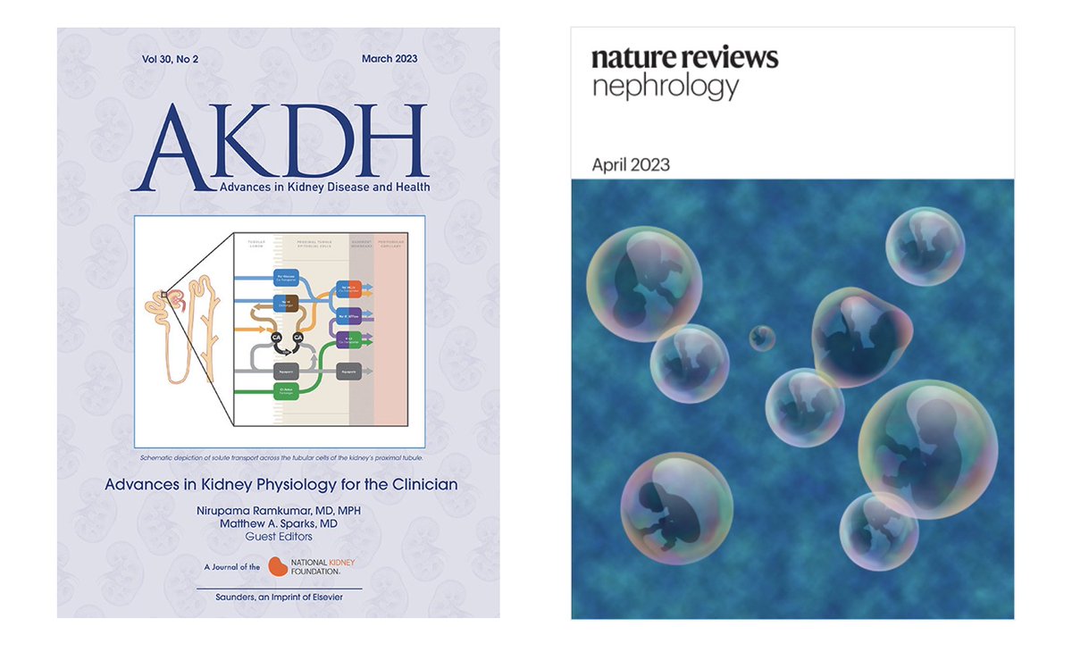 Thank you to @suz_allison and @sevspratta for arranging complimentary subscriptions to @akdhjournal and @NatRevNeph, respectively, for the #NephMadness Grand Prize Winners!