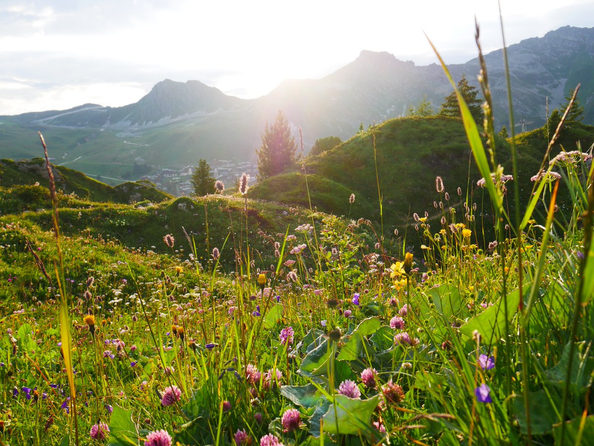 AblyApparel's tweet image. "Spring is nature's way of saying, 'Let's party!'" — Robin Williams

📸 Yann Behr via Unsplash

#AblyApparel | #WhateverProof