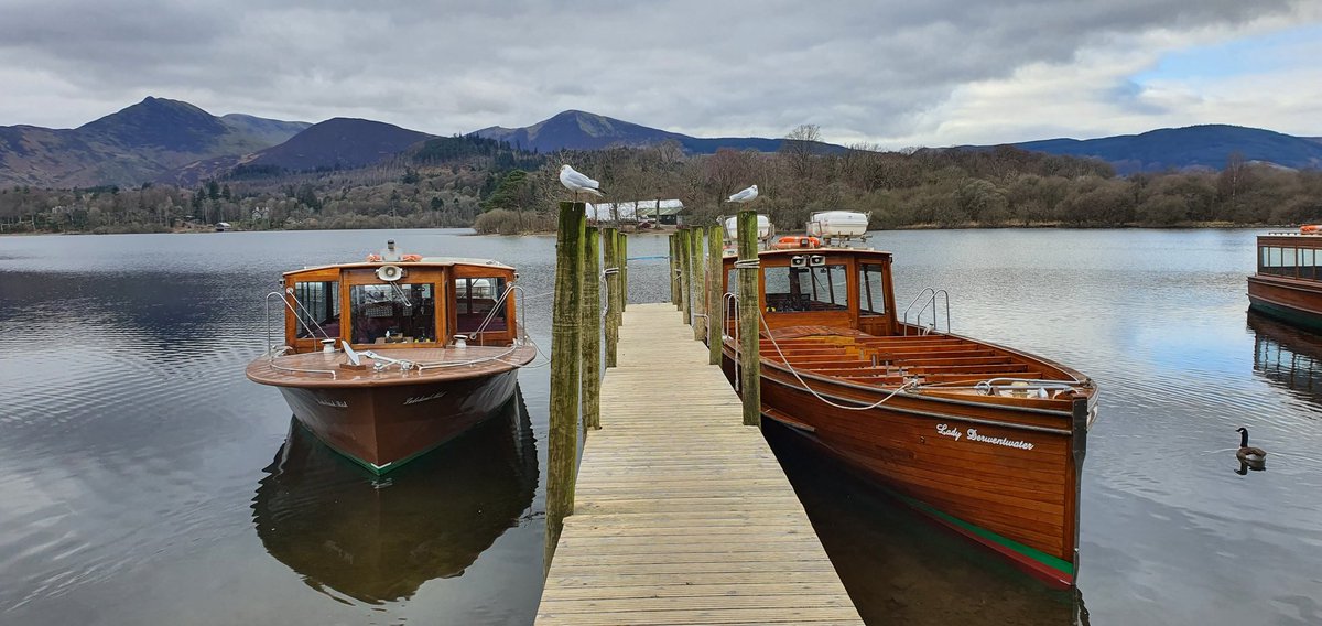 Nigel J.Hetherington tweet media