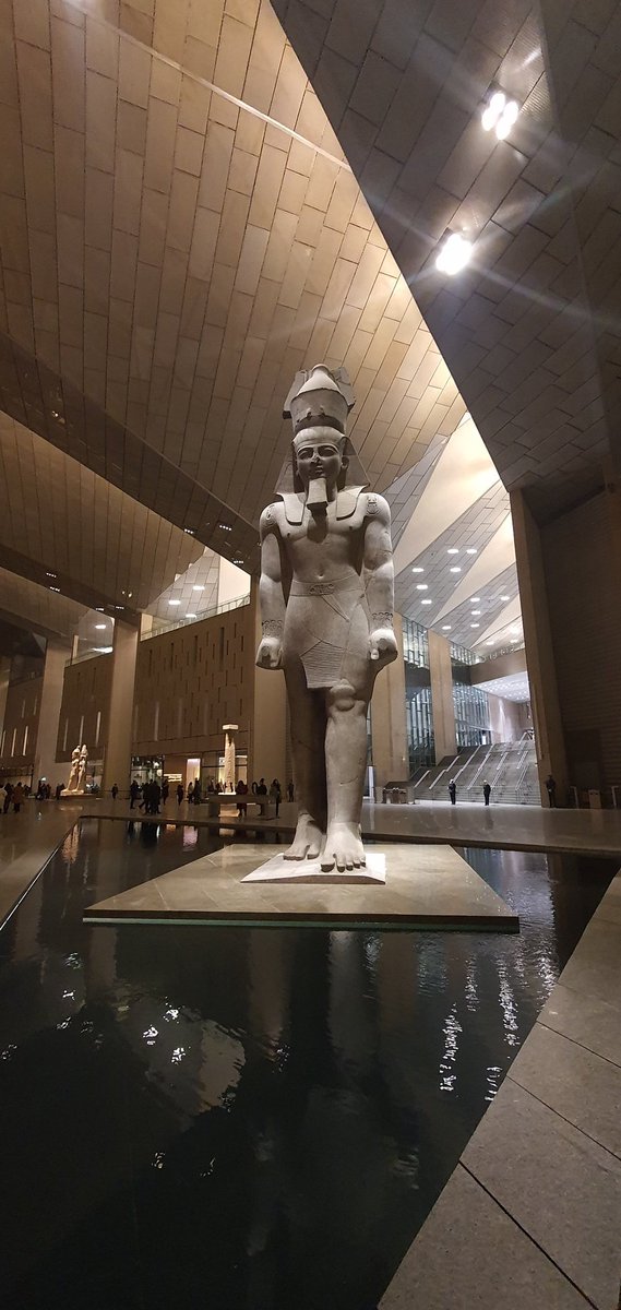 Nigel J.Hetherington tweet media