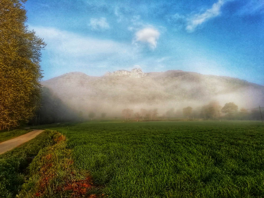 sense_correr's tweet photo. Per la part oriental del #puigsacalm #valldebas https://t.co/zyAz1TTwzv