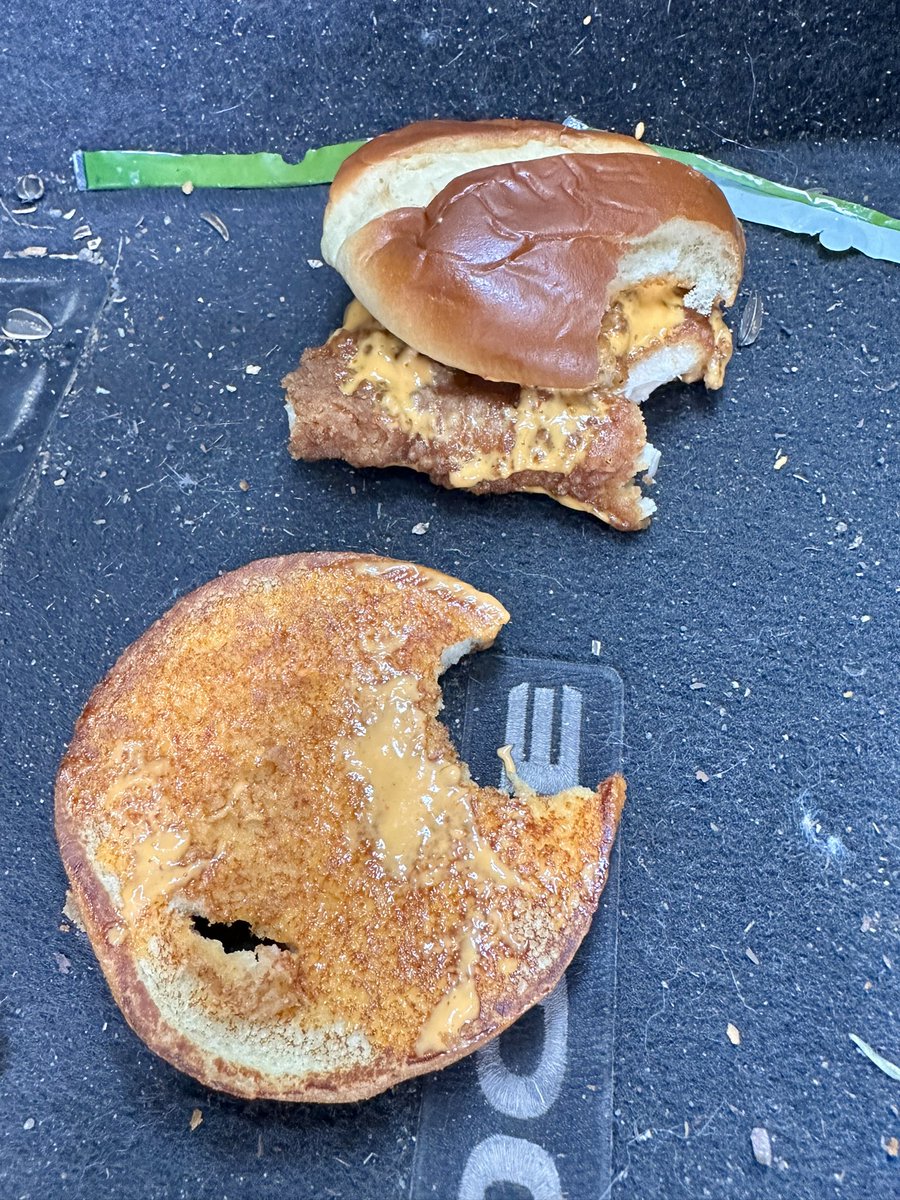 SamThompson's tweet image. I guess this I God’s way of telling me that I don’t need that new @McDonalds chicken sandwich. Ugh… at least I got ONE bite.