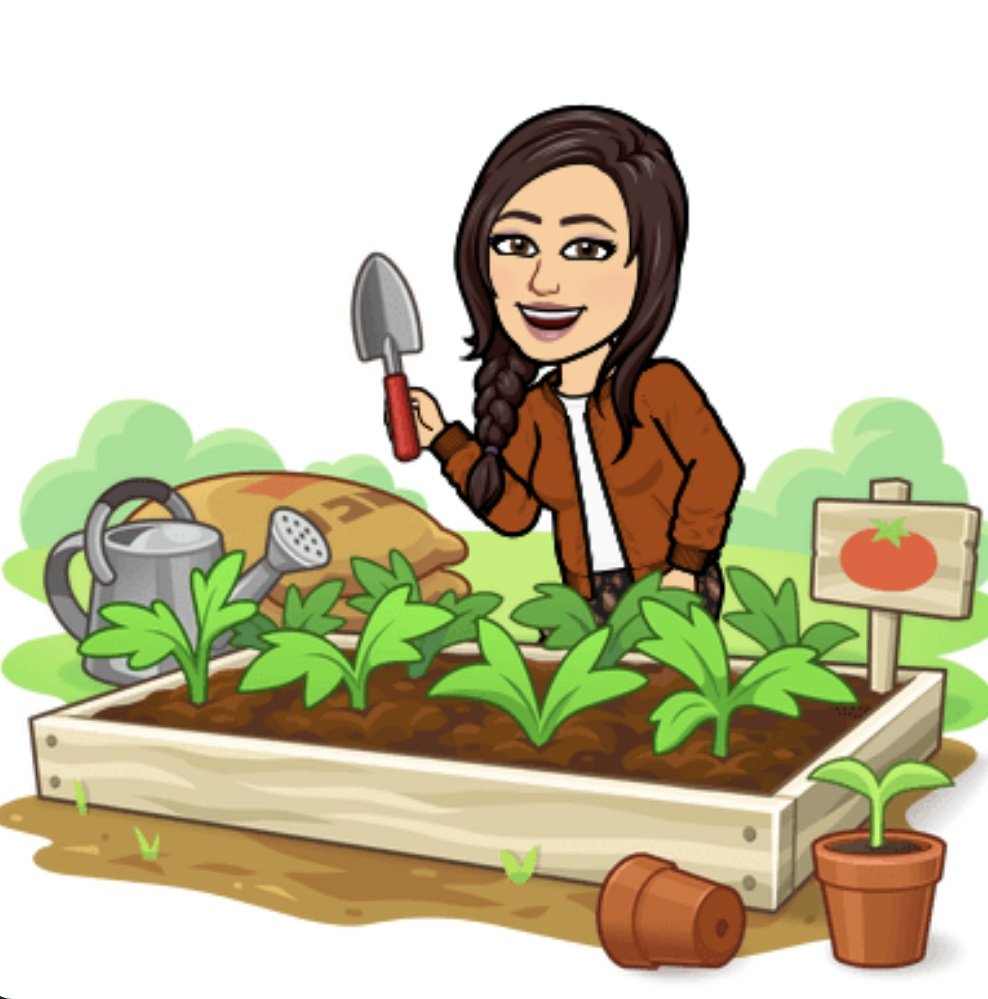 JRiversoCorreia's tweet photo. #PlantASeedDay @AngelaMericiDP was a hit with students #EarthSpiritWeek 🌱 ❤️ 🌎 https://t.co/wDLpvA1Him
