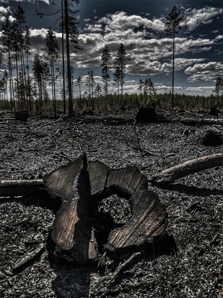 Jpph68's tweet photo. Kymenlaaksoon annettu myös #ruohikkopalovaroitus
Viranomaiset sitä ei kamalasti mainosta mutta. Tällaista jälkeä saattaa syntyä kun vaikka sen tupakin heittää metsään.
Tuuli on kova ja isoa kipinää se ei tarvi kun ollaan siellä suossa niin sanotusti
#varoitukset #olkaavarovaisia https://t.co/hXvmEdfKIa