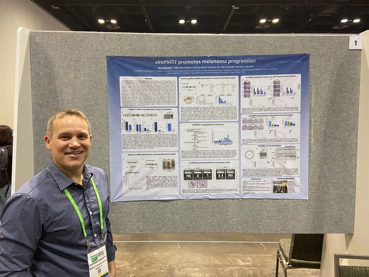 <a href="/KarrethLab/">Karreth Lab</a> You were busy too presenting for <a href="/NicolMecozzi/">NicolMecozzi</a> !
