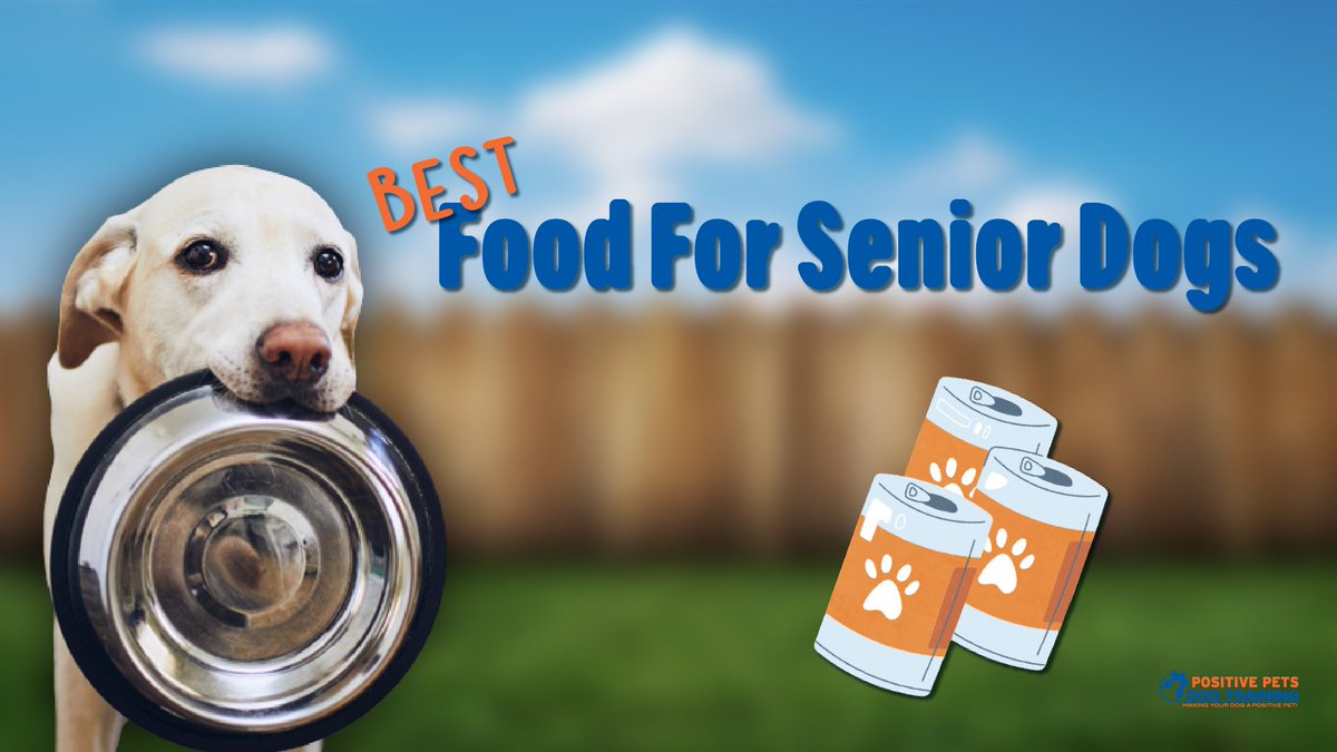 Best Food for Senior Dogs | positivepetsboise.com/best-food-for-…