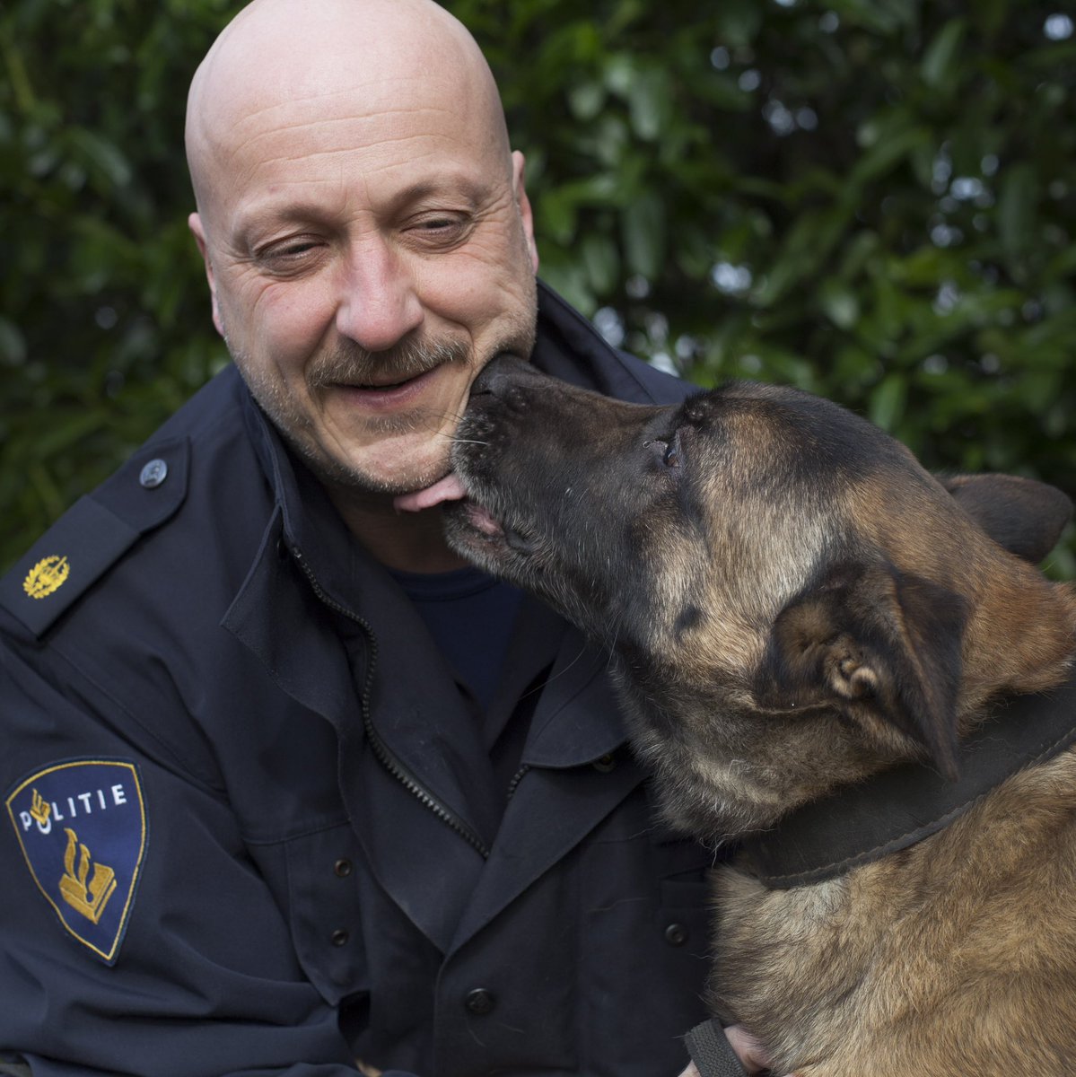 WA_midden_LWD's tweet photo. Droomde jij er altijd al van om mijn collega te worden? Dit is natuurlijk je kans! Kom je door de selectie, dan begin je in januari 2024 op de @Politieacademie Grijp je kans en schrijf je in!
https://t.co/ZTCo32140A (en als voorbeeld van ons werk https://t.co/RU8dfdO3vc)
#PolLWD https://t.co/Rf90d445qQ