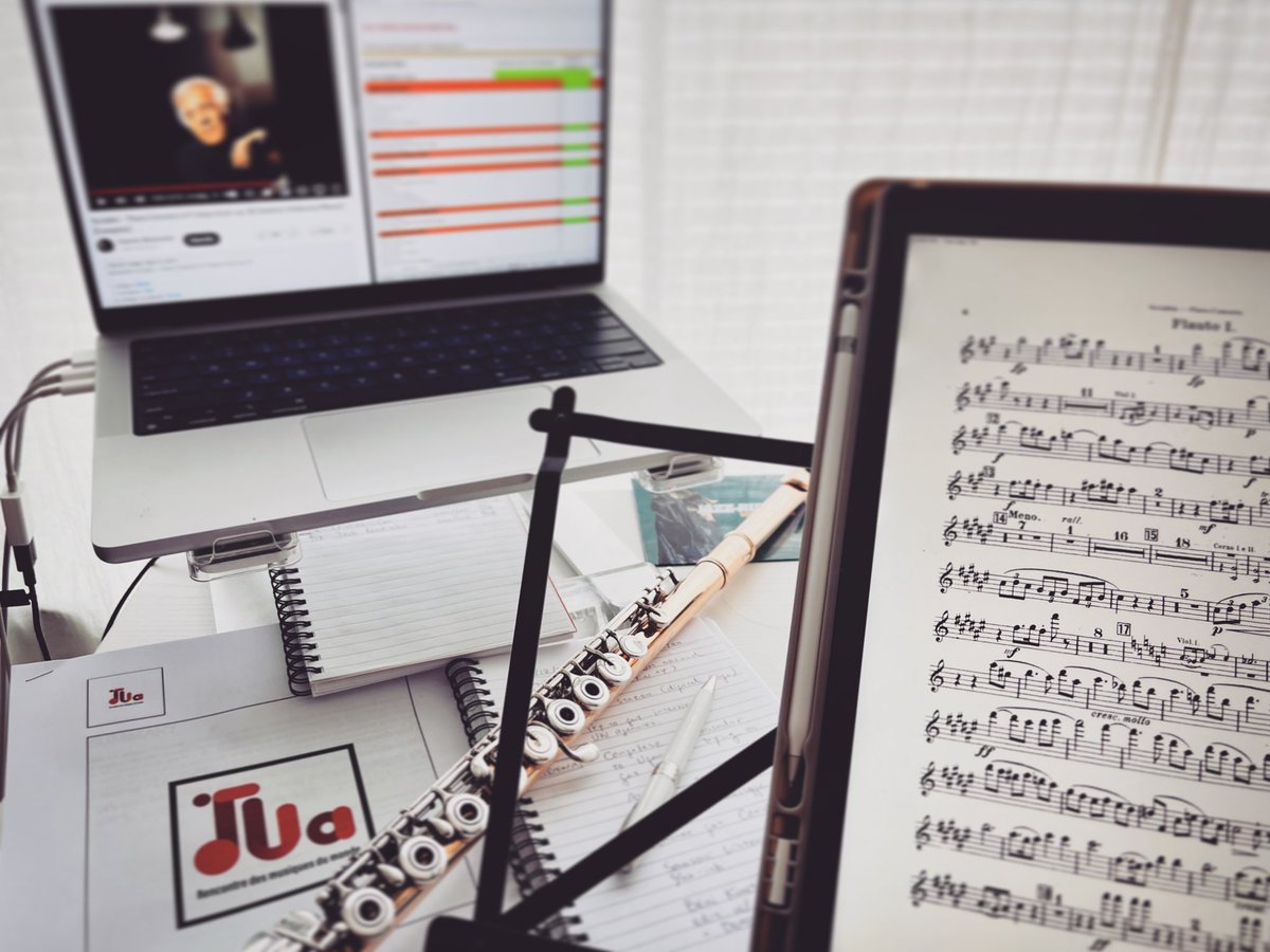 kaorifujii_net's tweet image. My current life in a nutshell — working on multiple projects for @musicbeyond_org, spreadsheets, and practicing for a concert all at once😅
#tuesdayvibes #workworkworkworkwork