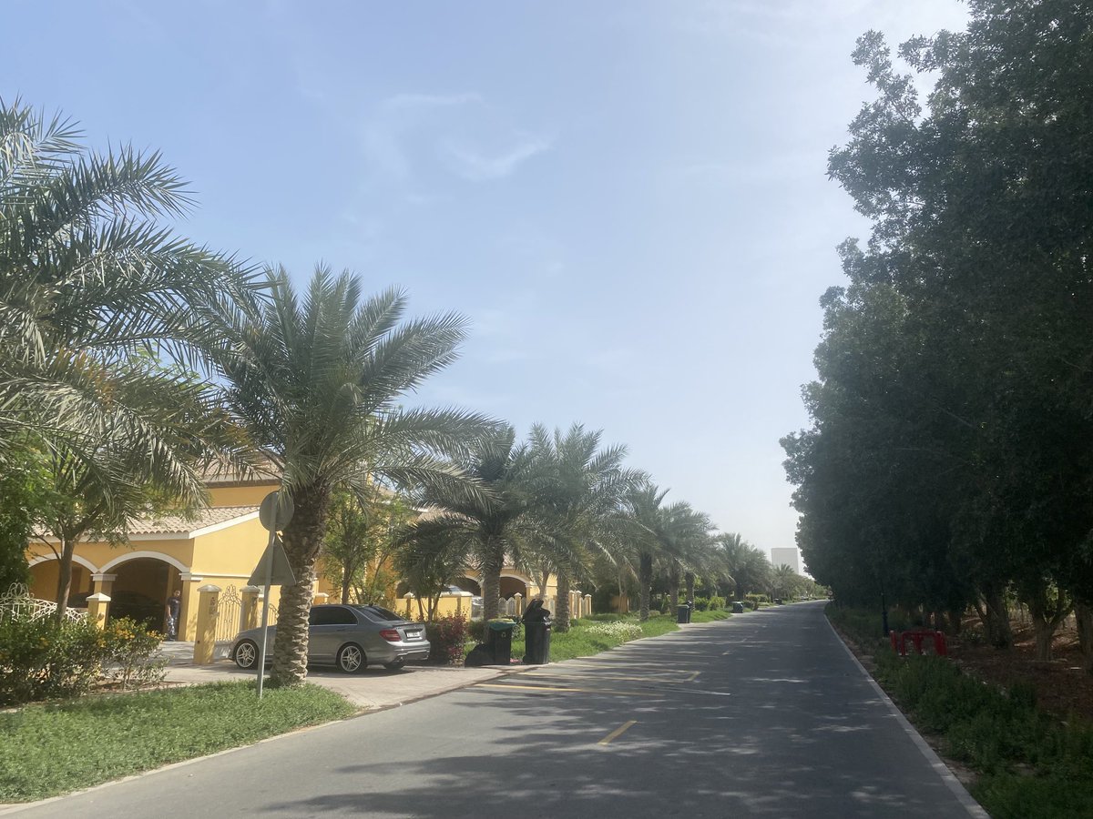 PinkTaxiRunner's tweet image. Condominiums interwoven with golf course, it’s tile roofed towers if time shared apartments, its villages that aren’t villages #rabbitatrest #johnupdike #theVillas