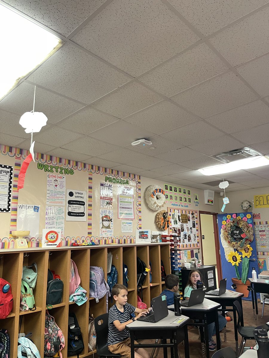 Maclaine Green tweet media