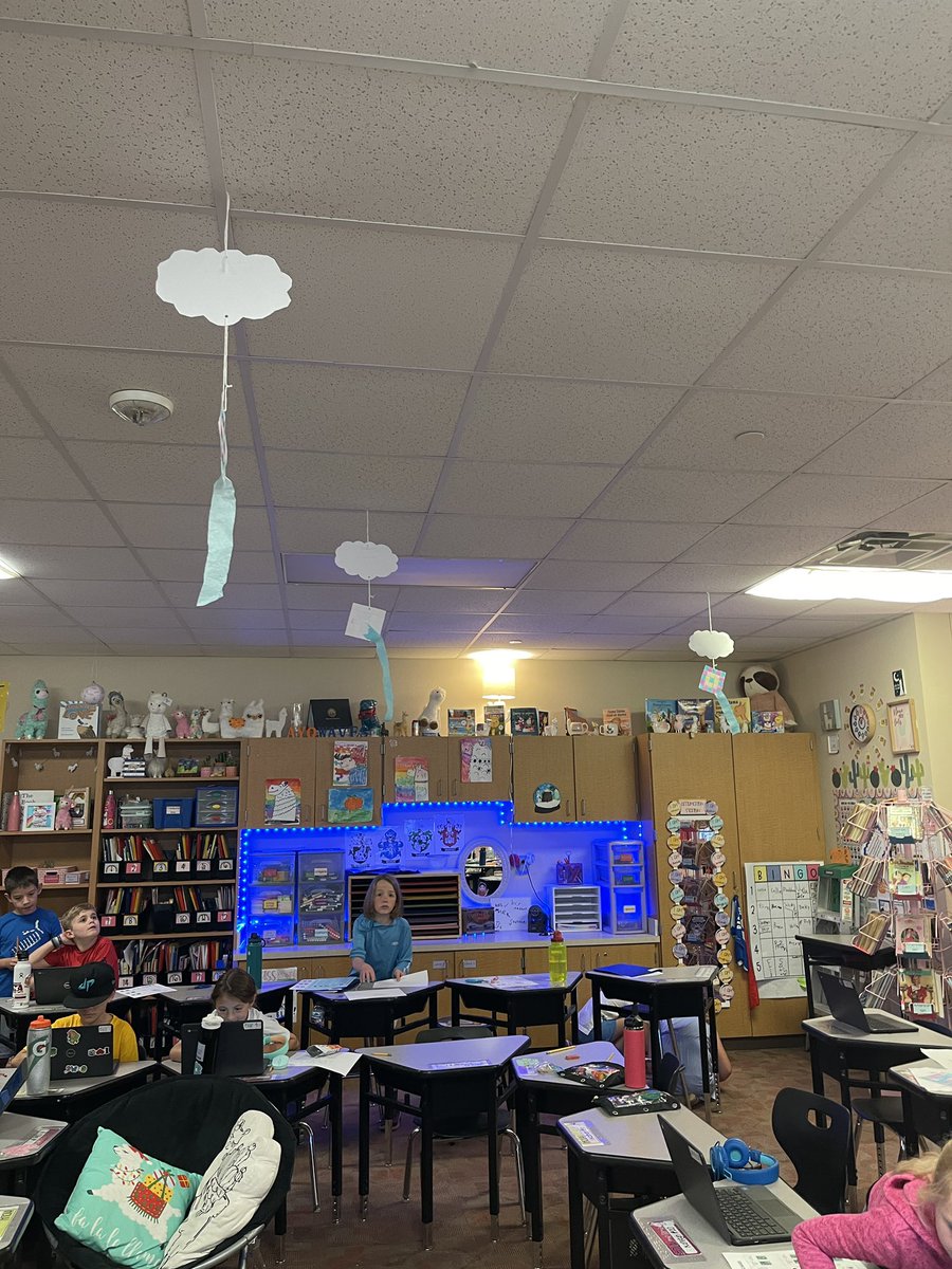 Maclaine Green tweet media