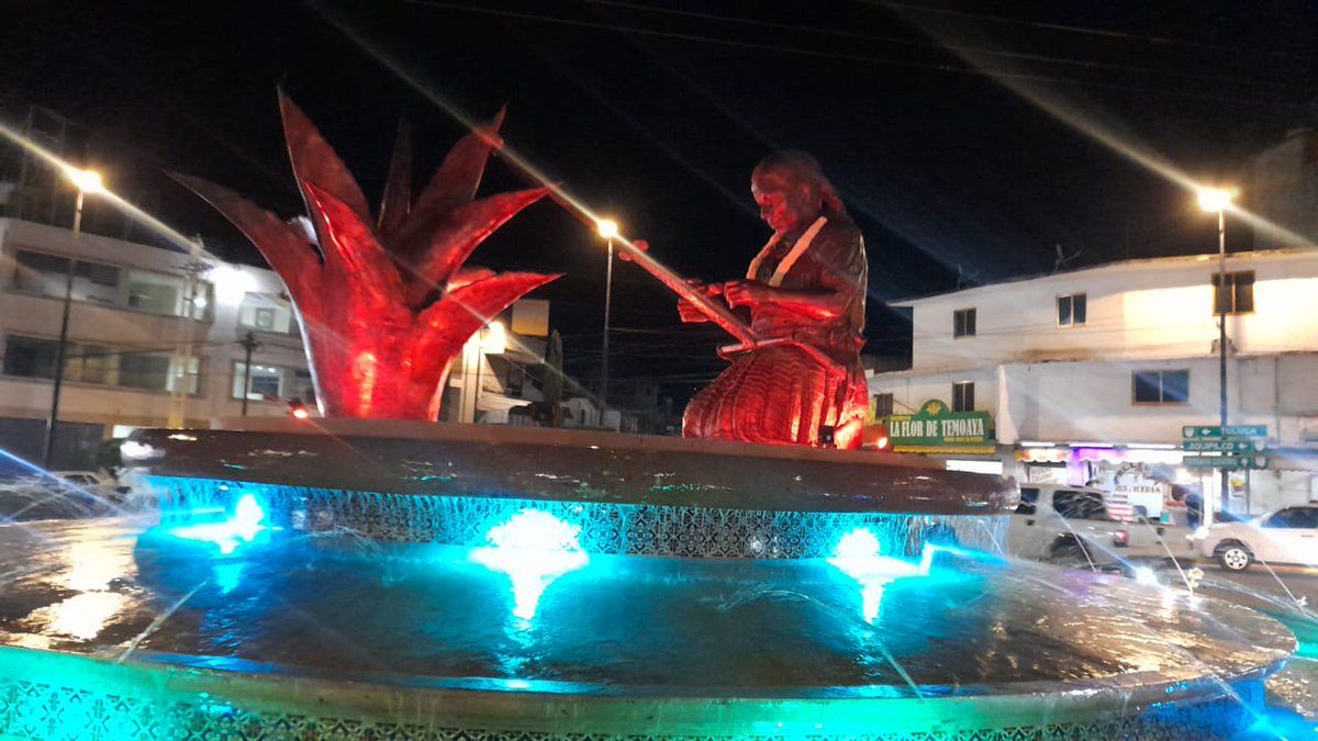 La belleza de un Agave en cualquiera de sus presentaciones 💚