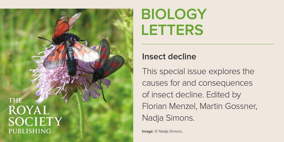 RSocPublishing's tweet photo. Read #BiologyLetters special feature on #insectdecline https://t.co/X18VtBWQk0, by Florian Menzel, Martin Gossner, @Tritotanus . Approaches include linking #insectpopulation trends and species’ functional traits, and exploring the spatial variation in population trends https://t.co/4lwPOdujIJ