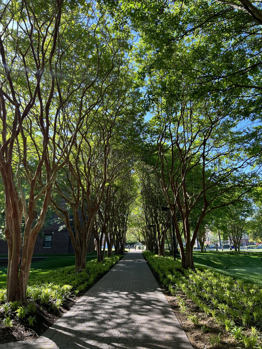 at least we can appreciate how nice the weather is today! #cnusocialmedia