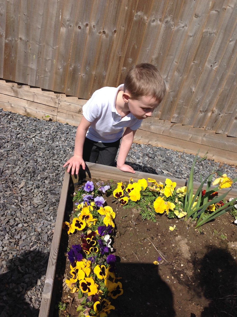 Miss Lenton tweet media