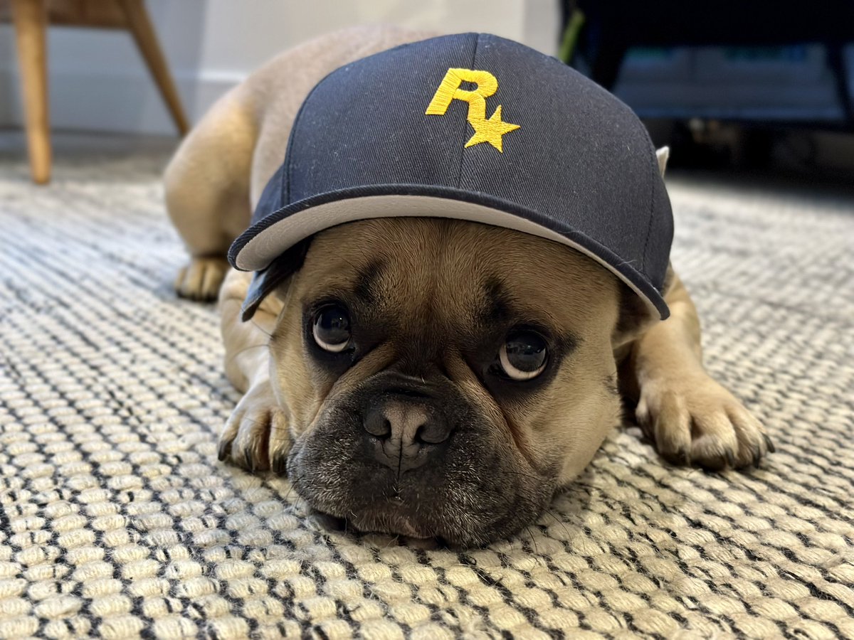 TinoGeorge's tweet photo. It is tradition to embarrass the dog when I get some swag. 
Also - I am now a Senior Visual Development Artist at @RockstarGames !! https://t.co/ZL6TNkBAiD
