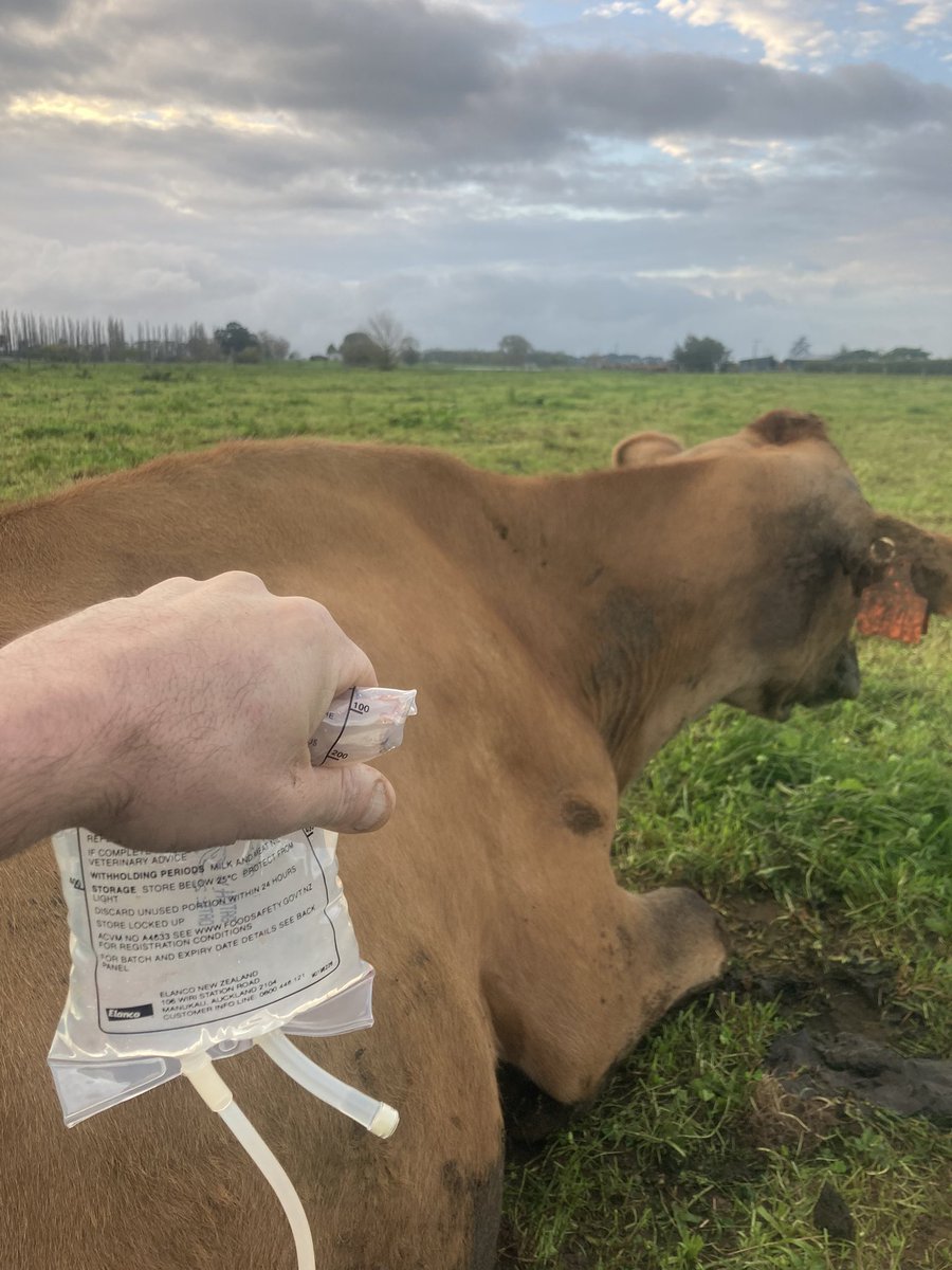 Top 50% farmer tweet media