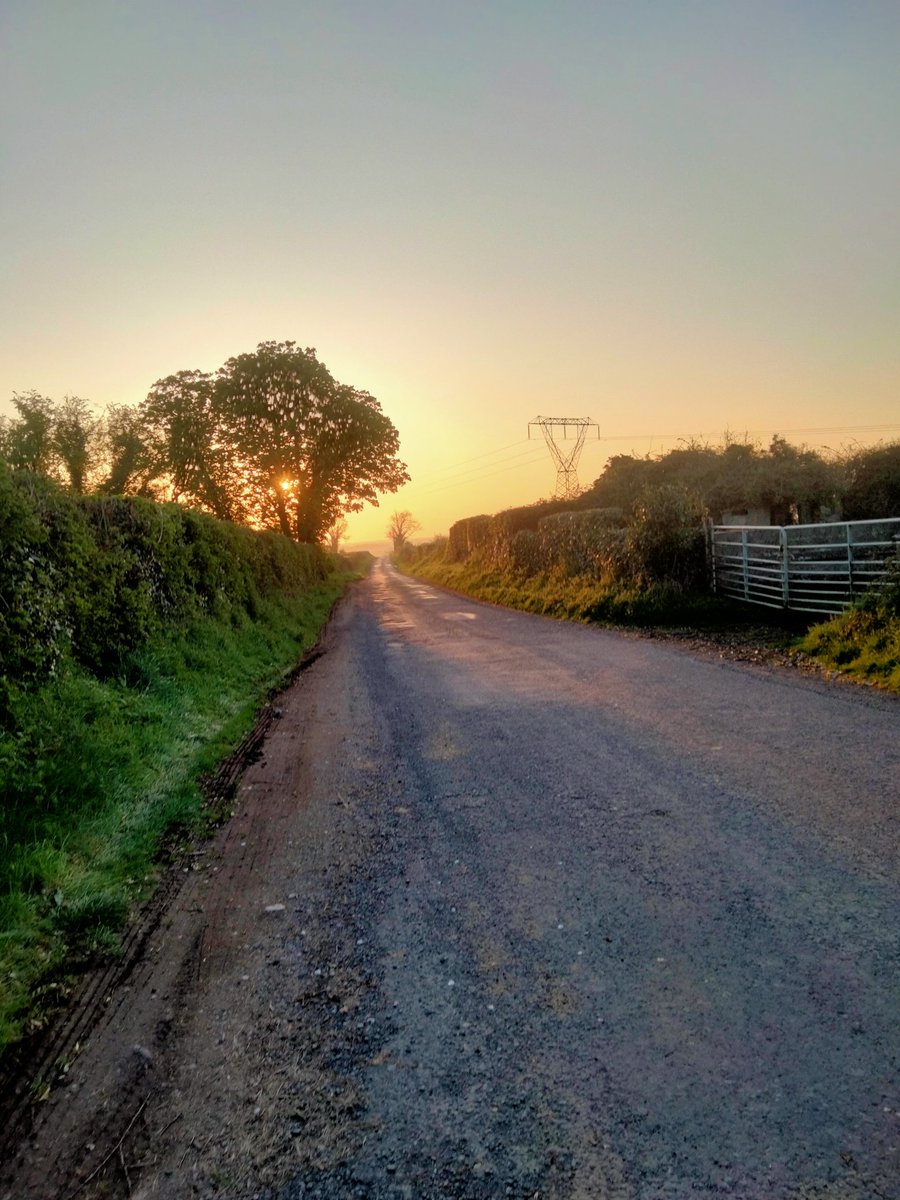 Barrymorcom's tweet image. An absolutely perfect evening...