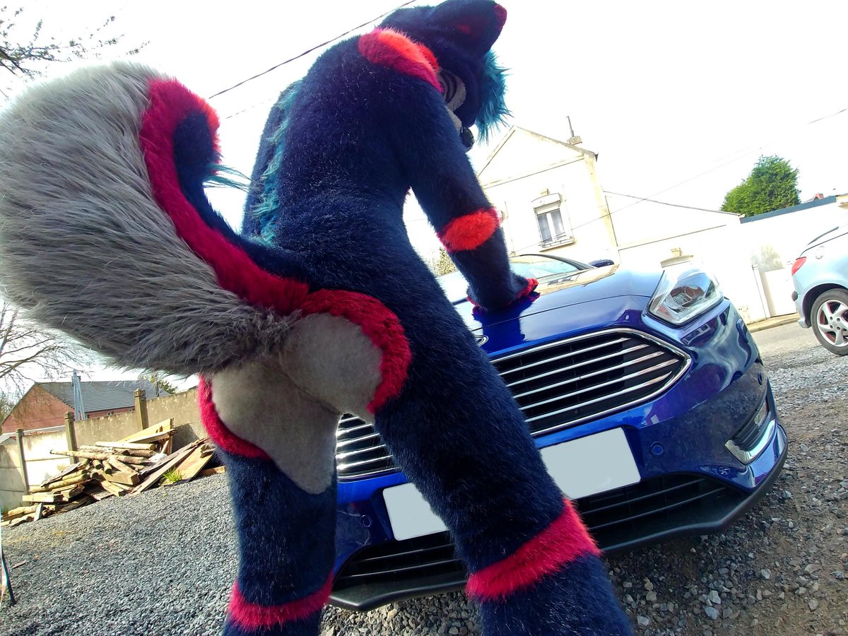 Anyone wanna go for a ride with <a href="/UshayWoof/">Ushay</a>?~ &lt;3