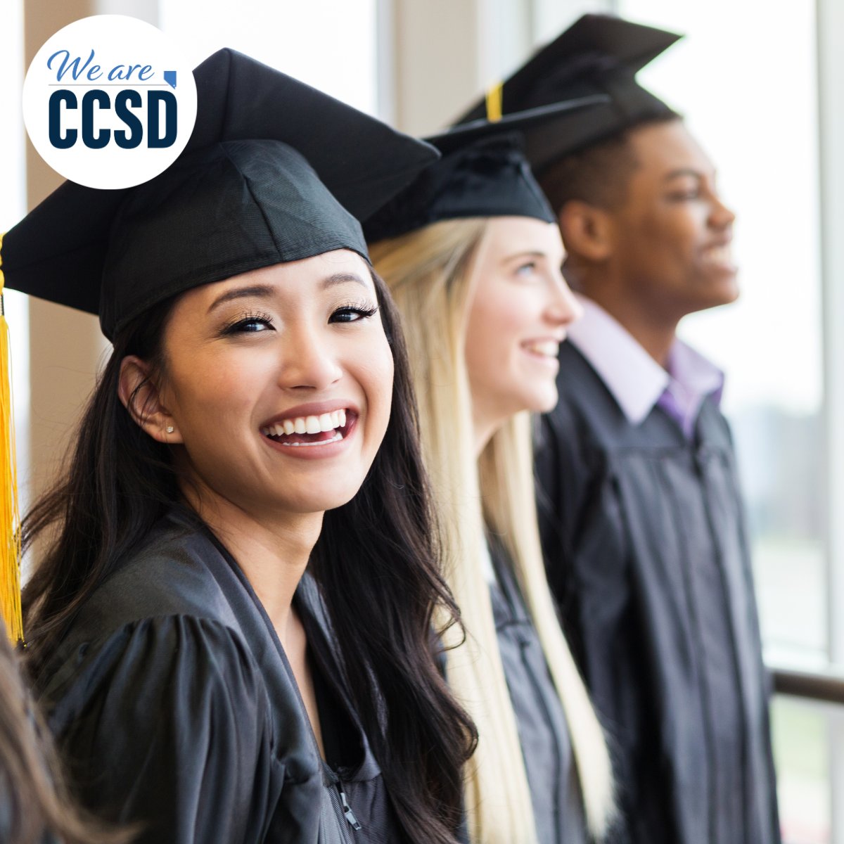 Teach_Vegas's tweet photo. Are you an education major graduating this spring? Our recruitment team is here to help you get placed at the school of your choice. 
Connect with a recruiter today: https://t.co/Szx0PaqWXF

#WeAreCCSD #education #FutureTeacher #SpringGrad https://t.co/2irrjeKqng