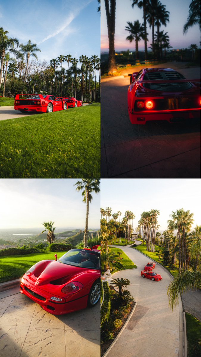 Bviibez_'s tweet photo. F40+F50= Dream Shoot 📸 https://t.co/DNYbah0XKX